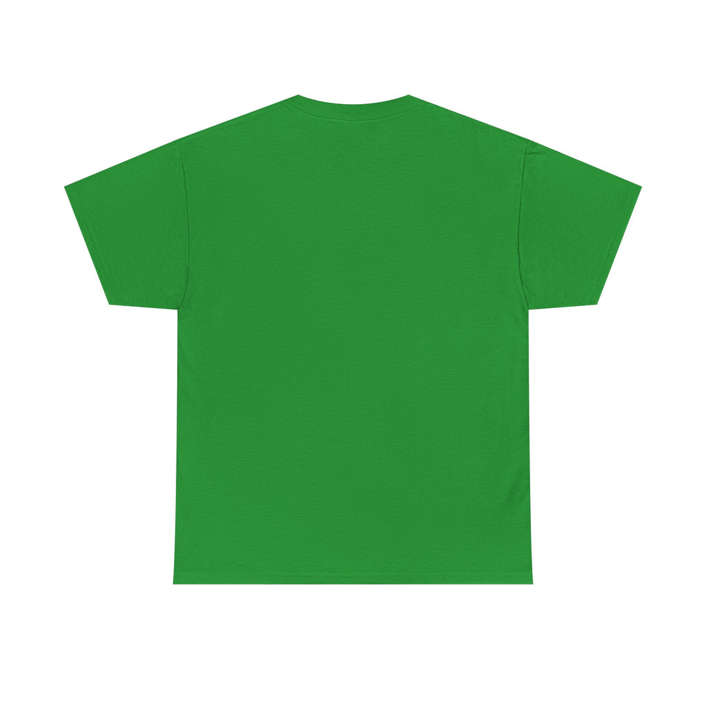 Secret Santa T- Shirt - I Got This Shirt From My Secret Santa - Christmas Tee Shirt Gift NEW