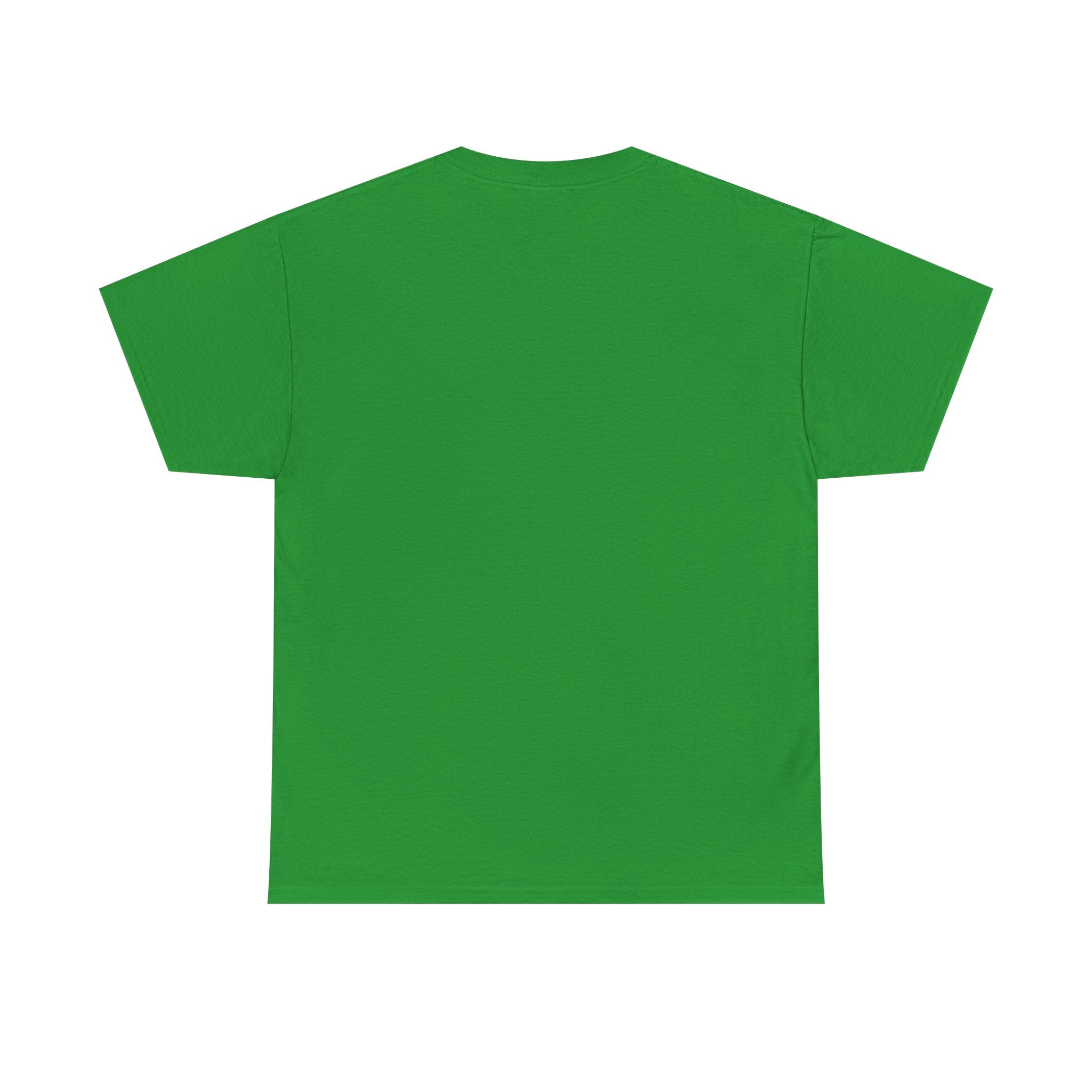Secret Santa T- Shirt - I Got This Shirt From My Secret Santa - Christmas Tee Shirt Gift NEW
