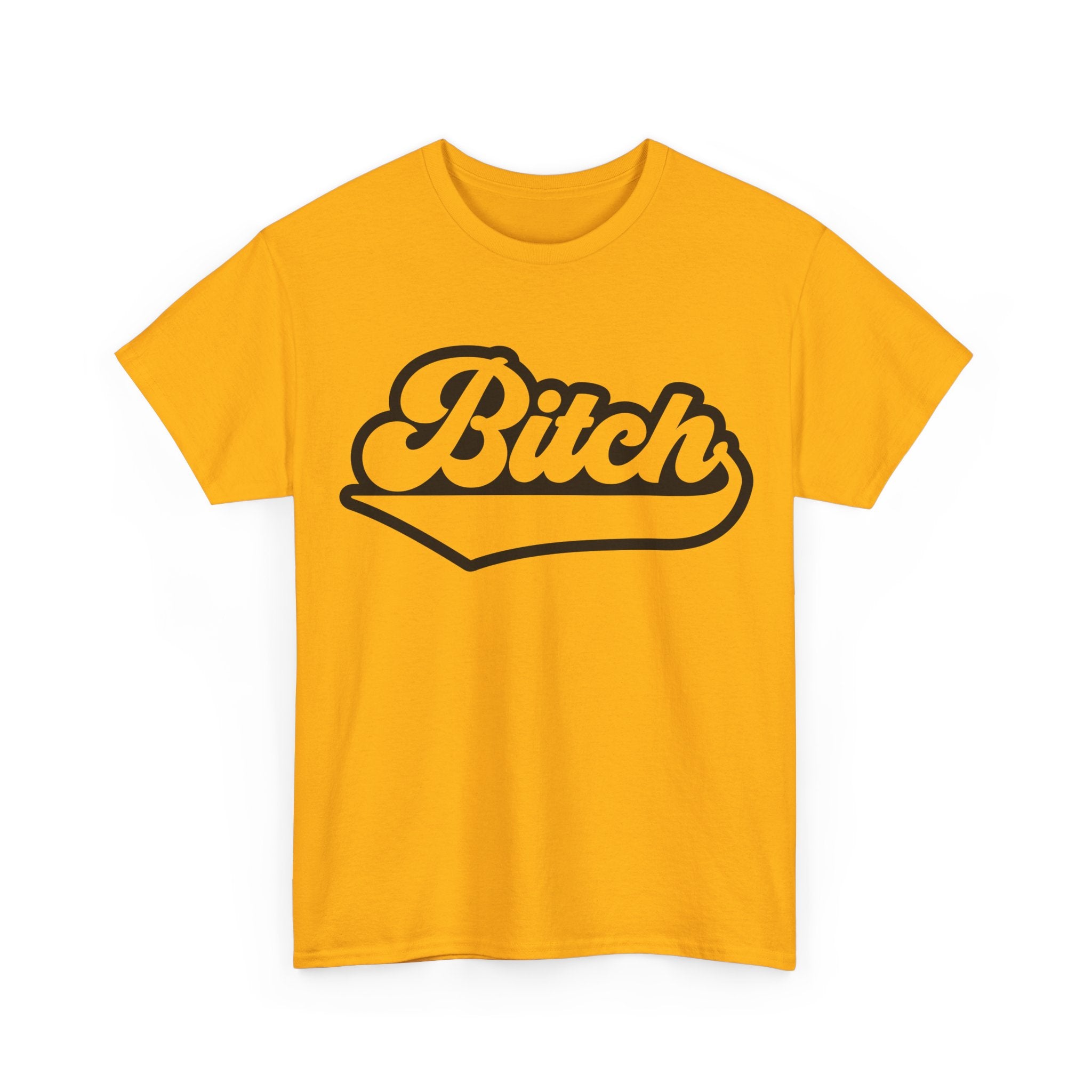 Graphic Tee - Bitch - Funny Rude Adult Script Logo T‑Shirt Gift for Her