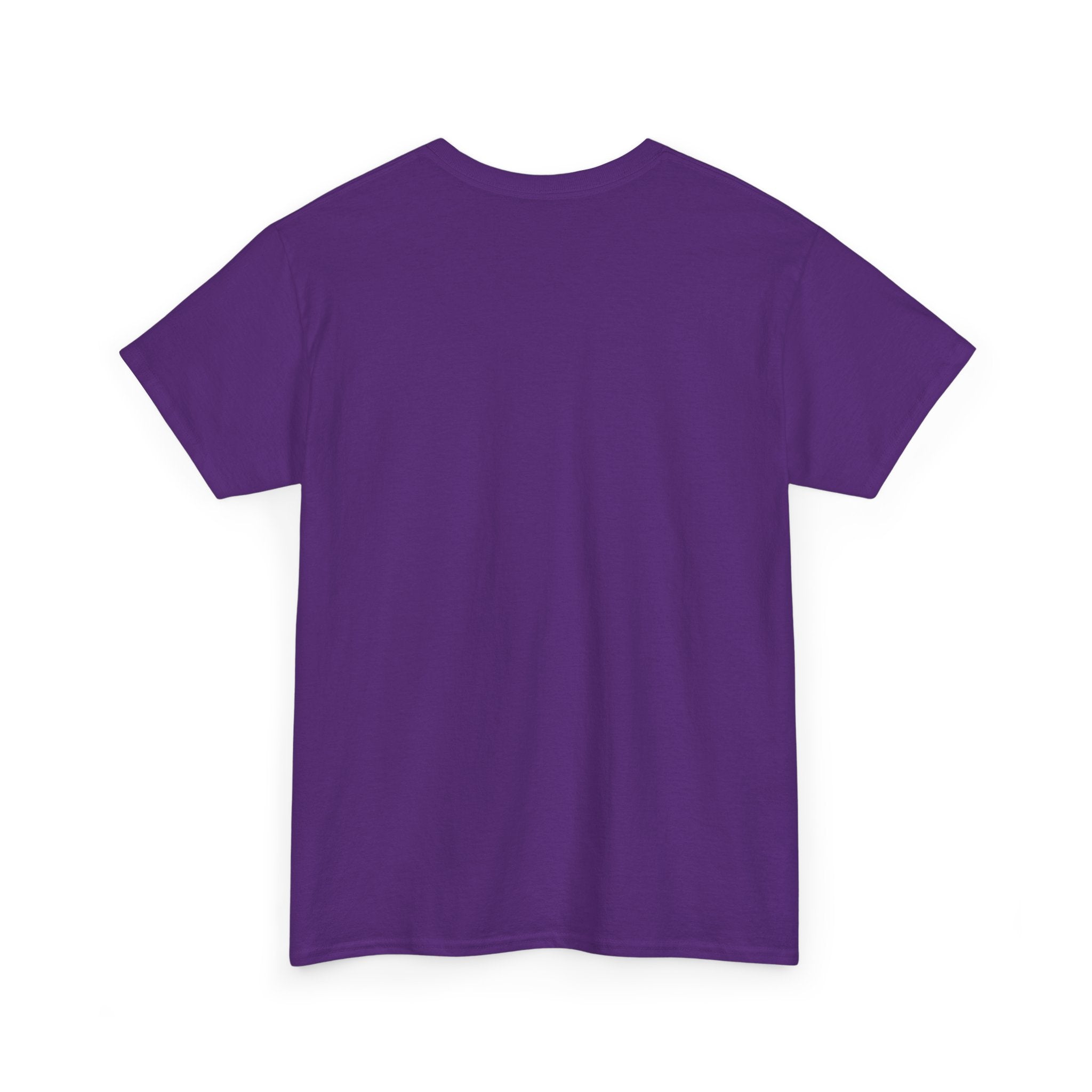Bass Guitar Groove Tee Shirt - I'm in Charge of the Groove - Music T-Shirt Gift For Bassist
